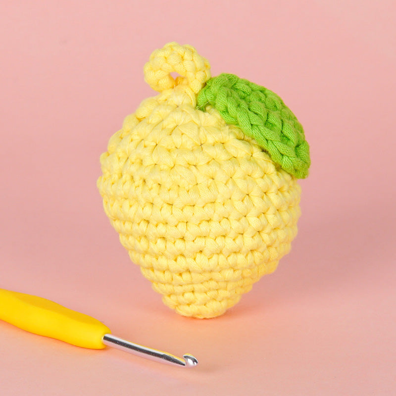 Mango Crochet Kit