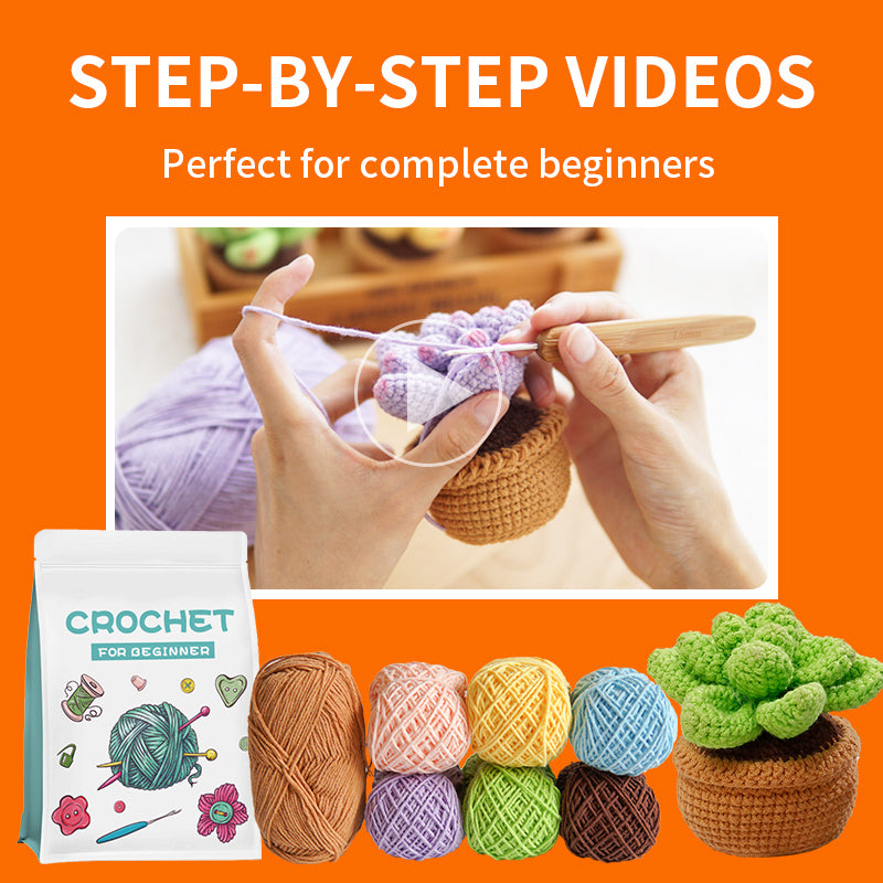 Crochet Succulent DIY Kit