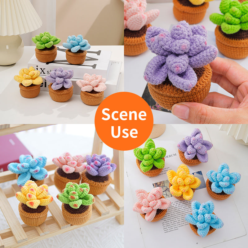 Crochet Succulent DIY Kit