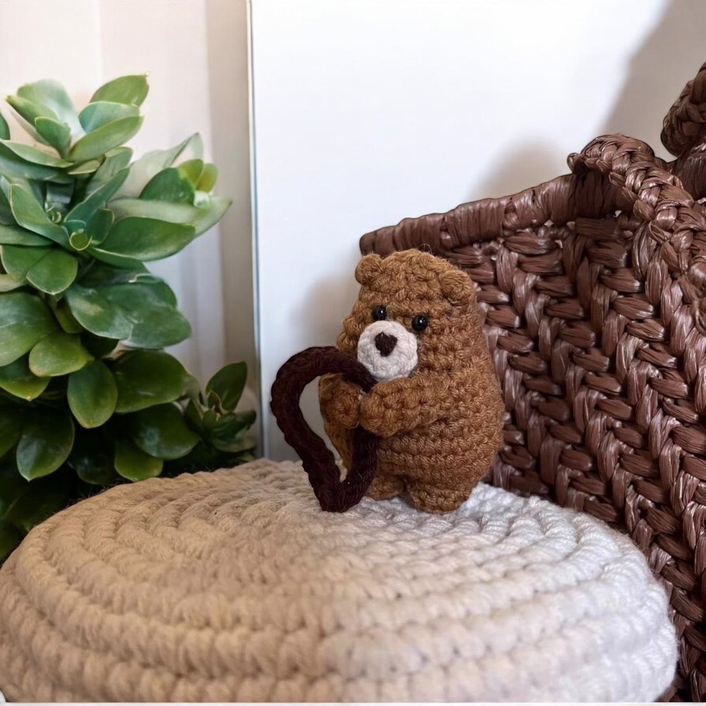 Bear Lid Crochet Box Kit