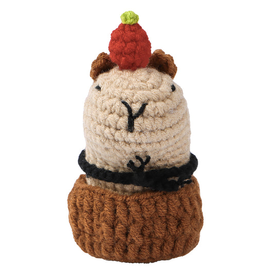 Capybara DIY Crochet Kit