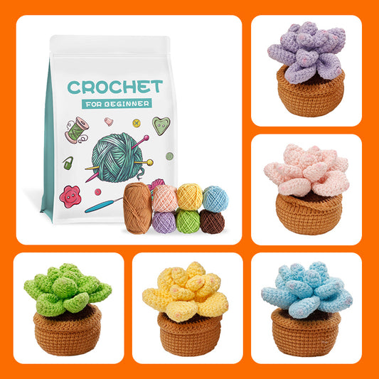 Crochet Succulent DIY Kit