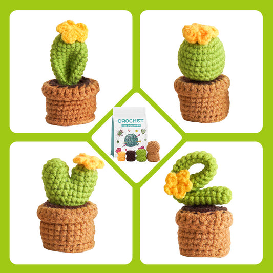 Crochet Cactus DIY Kit